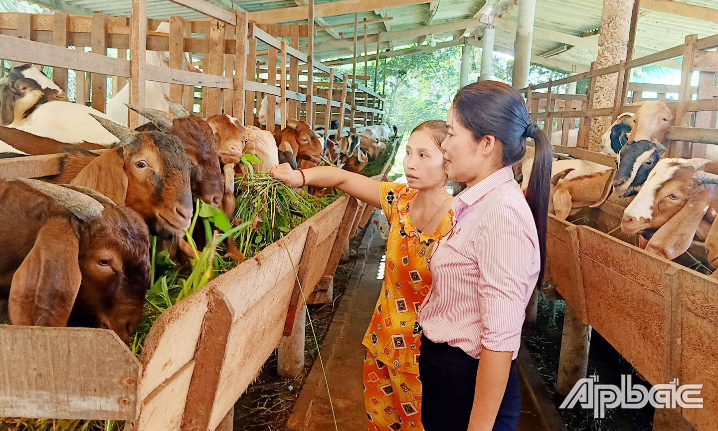 Hiệu quả từ nguồn vốn vay của Ngân hàng chính sách xã hội huyện